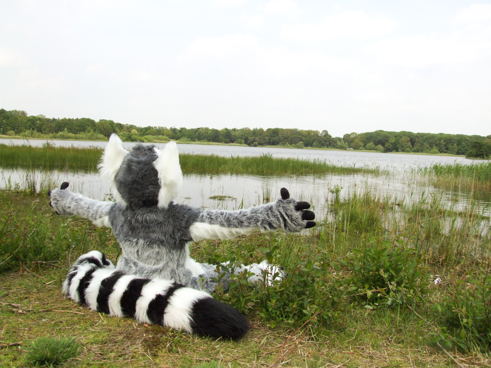 Kiki sitting in the sun at the lake in a typical lemur pose