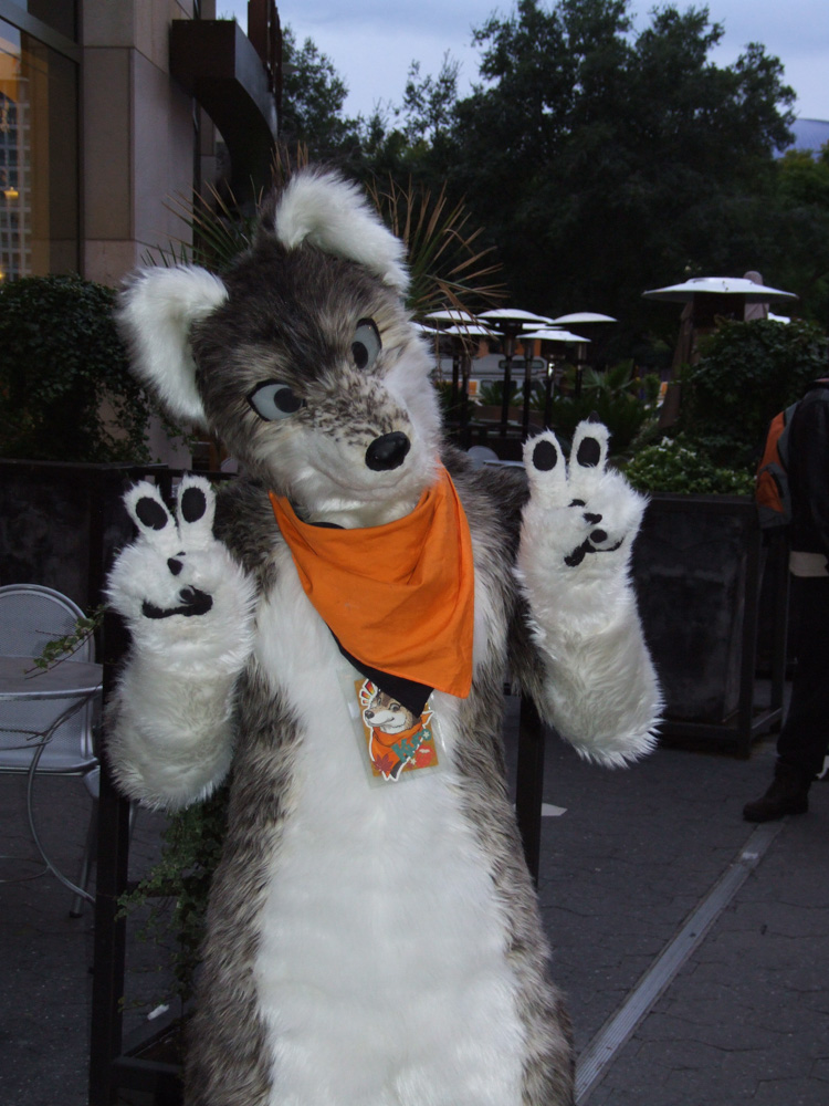 A kemono-style fursuiter