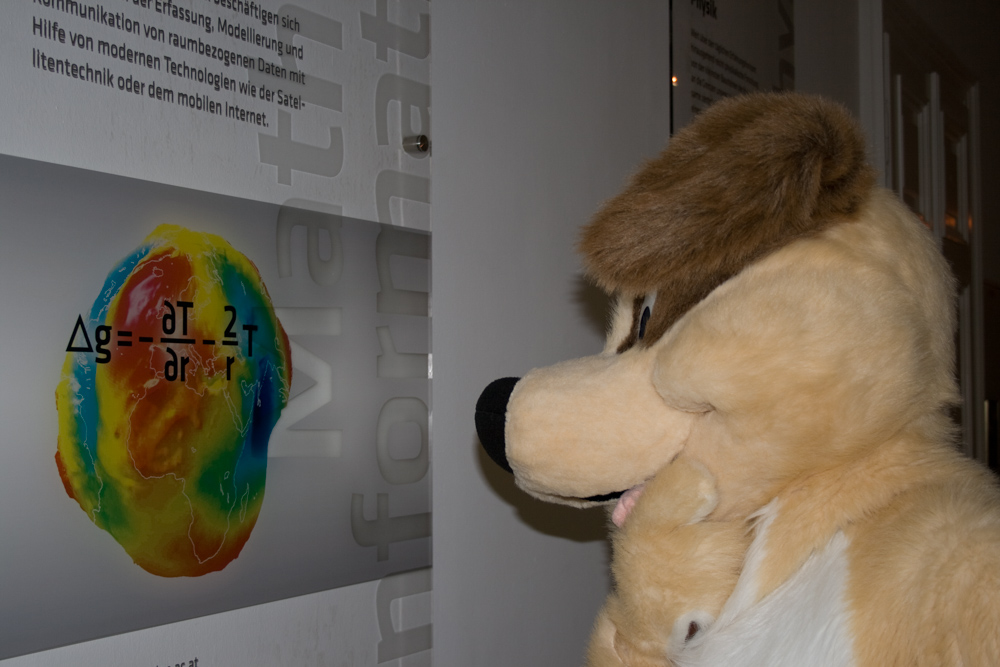 Dog, staring at a scientific poster