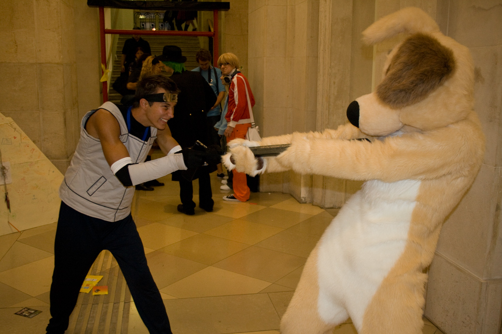 Dog, stealing a sticky weapon from someone
