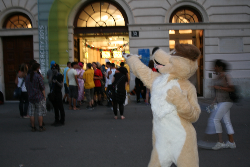 Dog in the courtyard of the old main building of the Vienna University of Technology