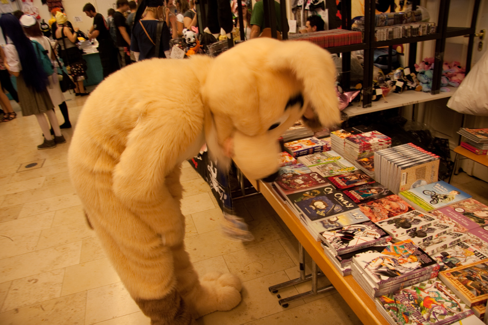 Dog, checking out books at a Dealers Den table