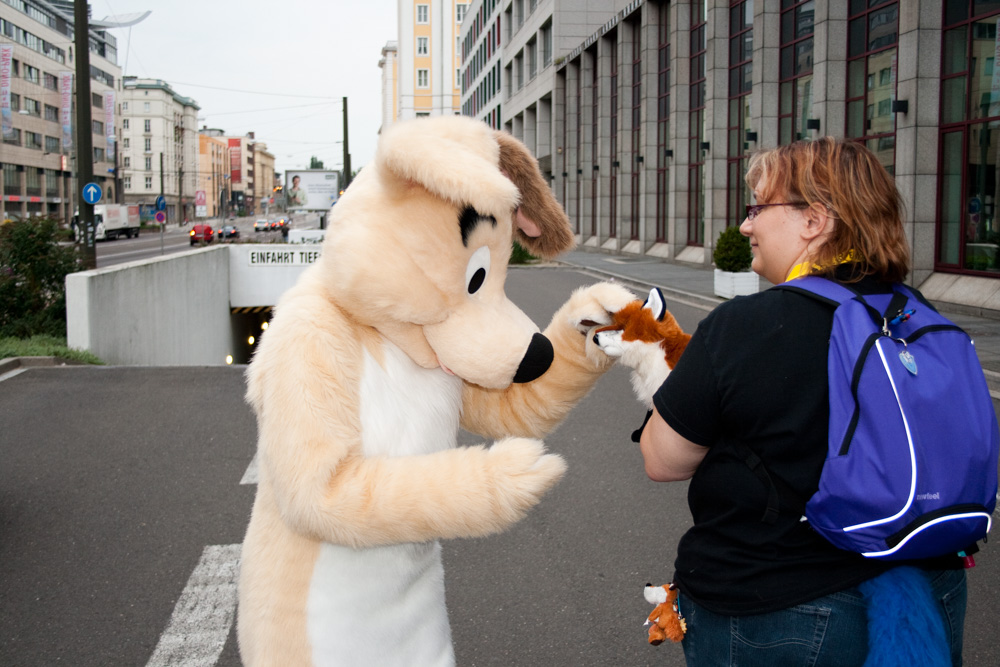 Dog interacting with a fox puppet outside the Maritim