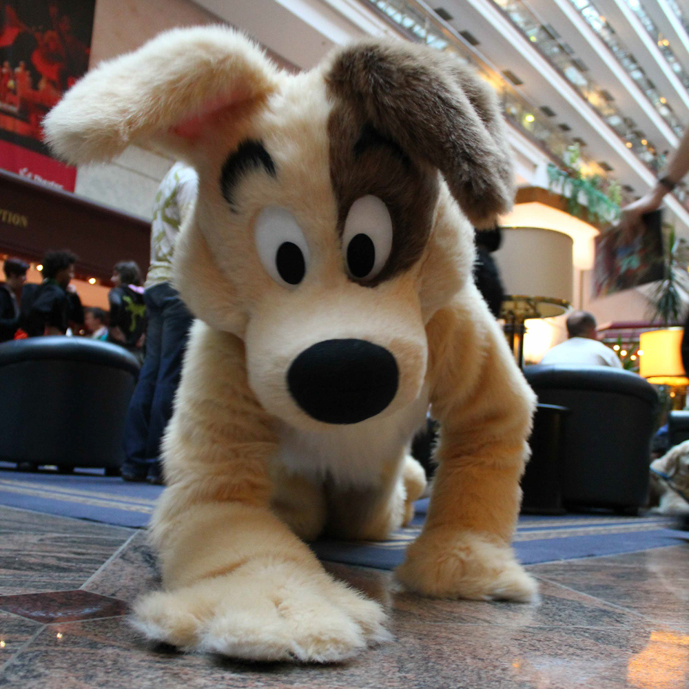 Dog sneaking up to the camera