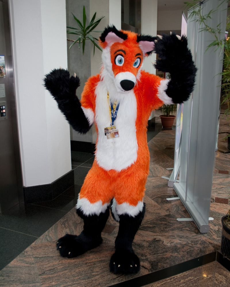An orange fox fursuiter