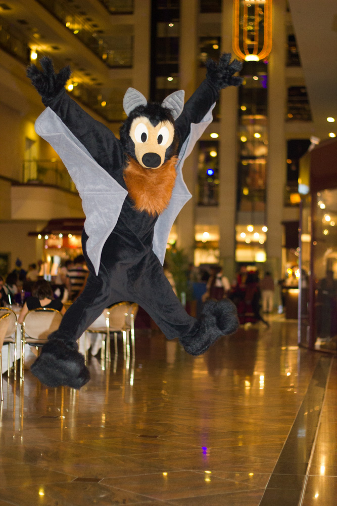 Baseball jumping in the air
