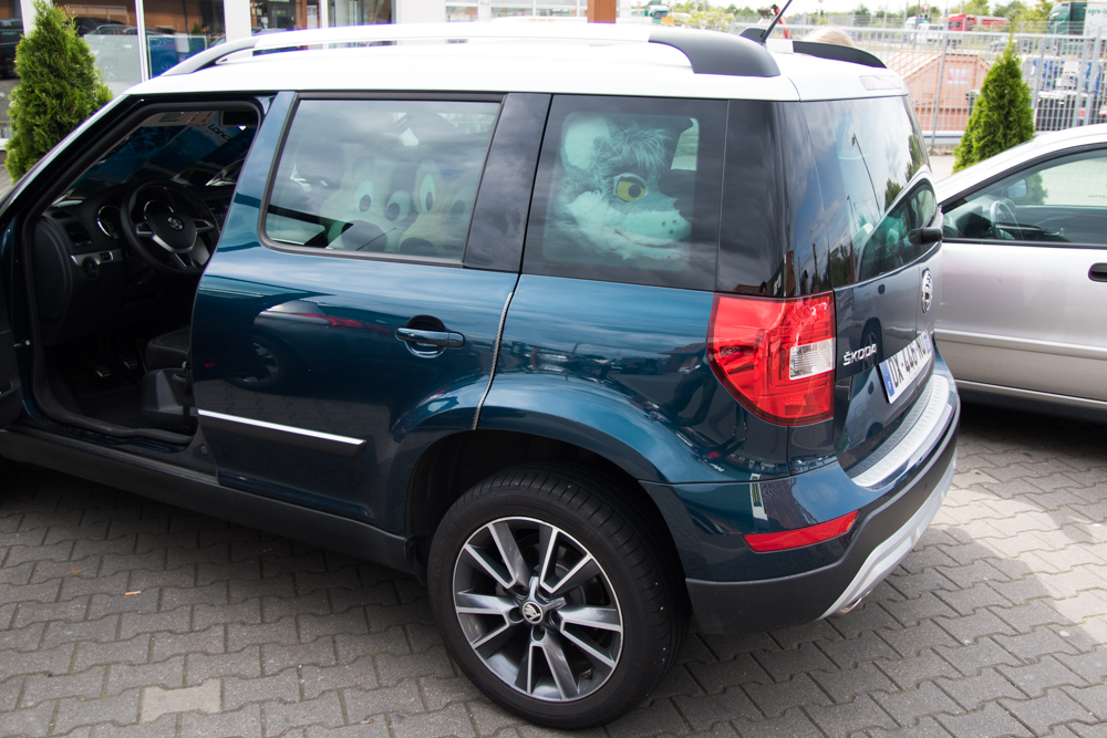 Our car with fursuit heads clearly visible