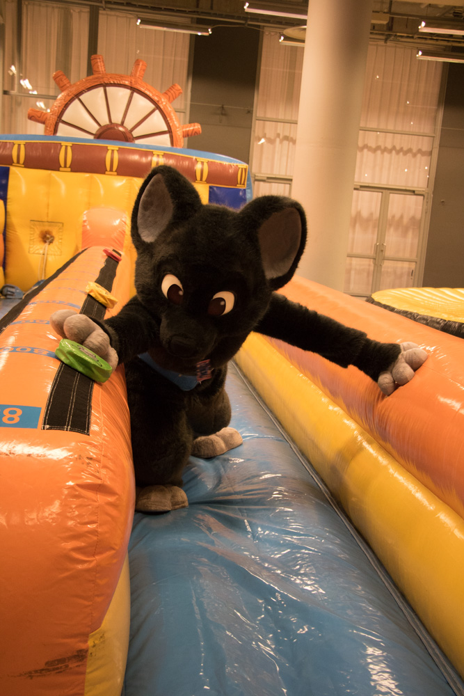 Mausie trying to tug an elastic rope on an inflatable obstacle course