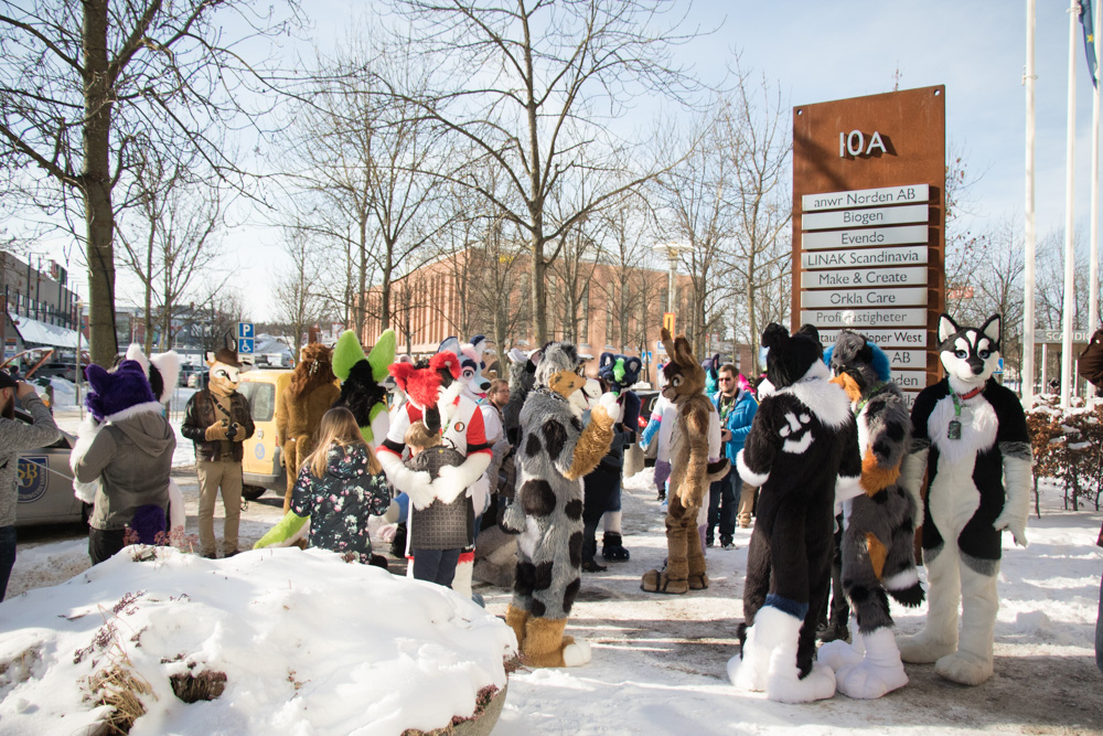 Several fursuiters in the snow outside the hotel.